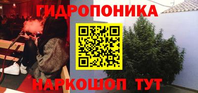 сатива Свободный